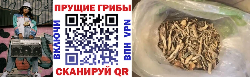Галлюциногенные грибы мицелий  Нижний Ломов 